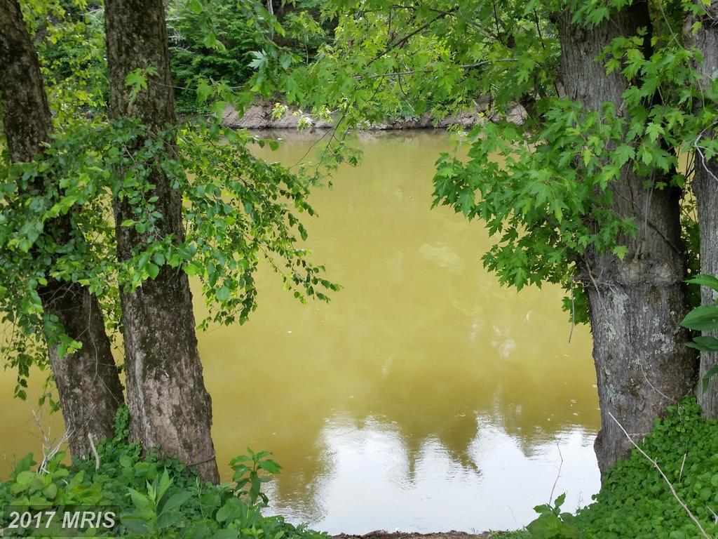 290 White Oak Trail - Photo 1