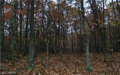 Radnor Drive - Photo 1