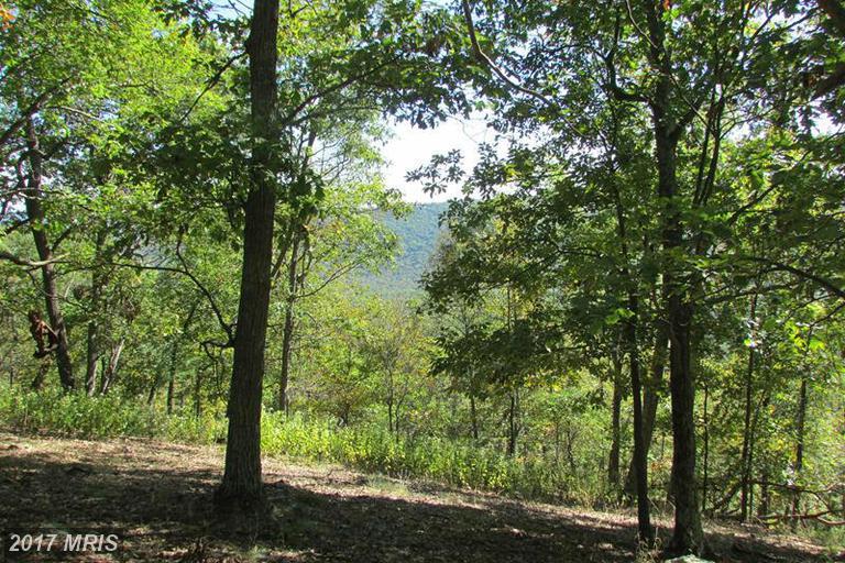 188 BLUFFS ON THE POTOMAC - Photo 1