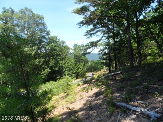 Lot 20 Red Feather Drive - Photo 1