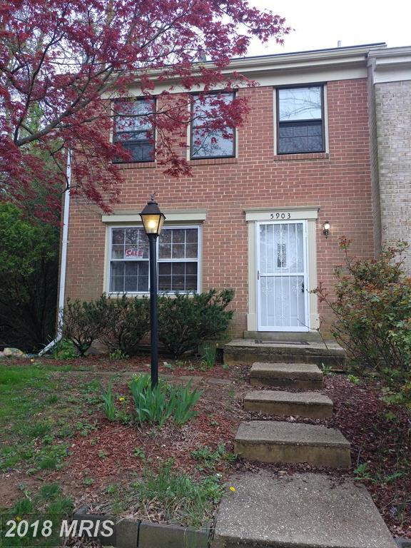 5903 Morningbird Lane - Photo 1