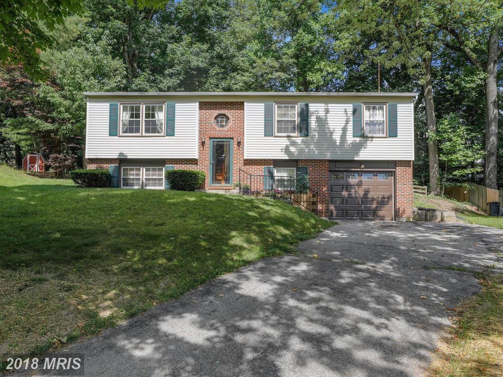 8098 Woodloo Drive - Photo 1