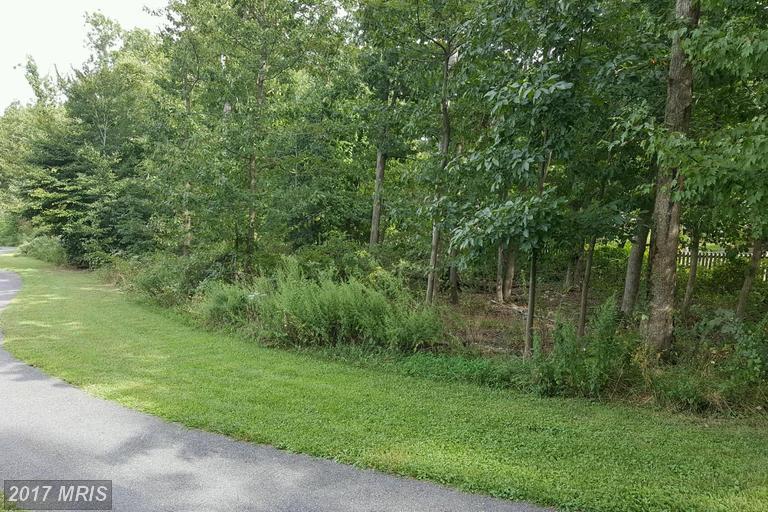 Washington Avenue - Photo 1