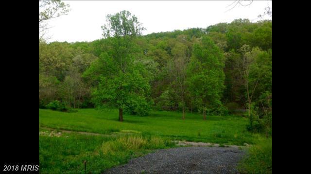 Blooms Lane - Photo 1