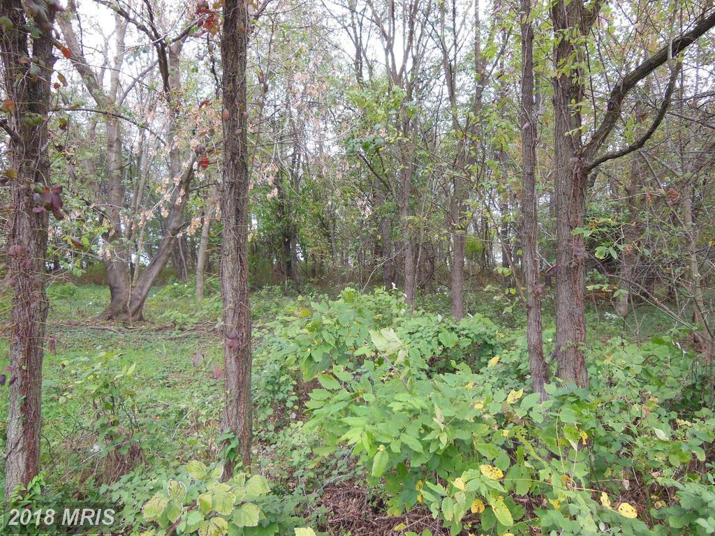 Hickorywood Court - Photo 1