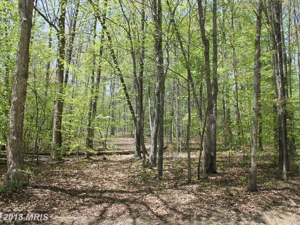 Tamarack Terrace - Photo 1