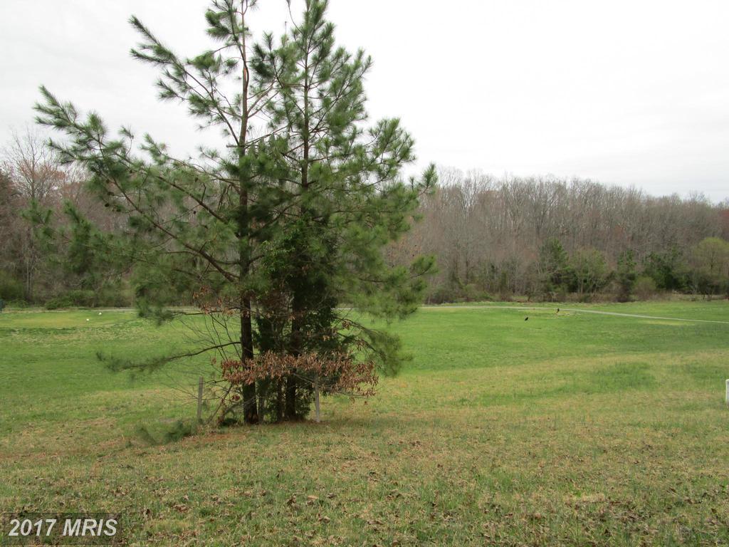 197 Barnstormer Circle - Photo 1