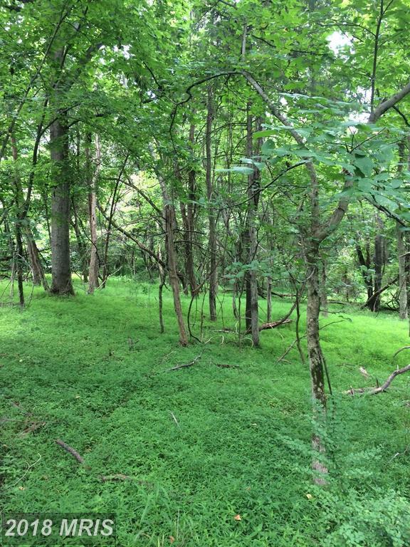 Featherbed Ln - Photo 1