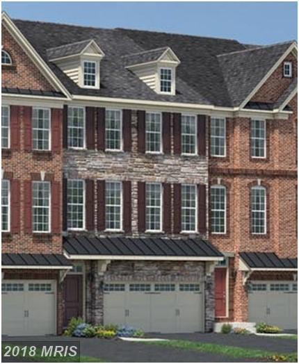 25023 Cambridge Hill Terrace - Photo 1