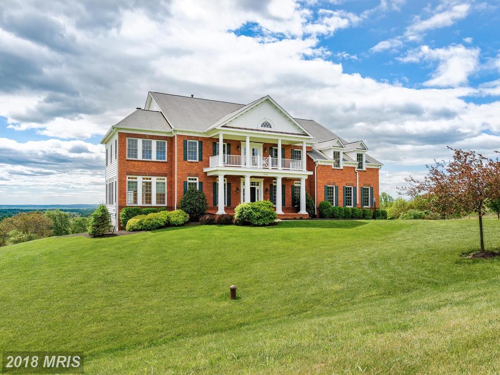 35185 Dundee Court - Photo 1