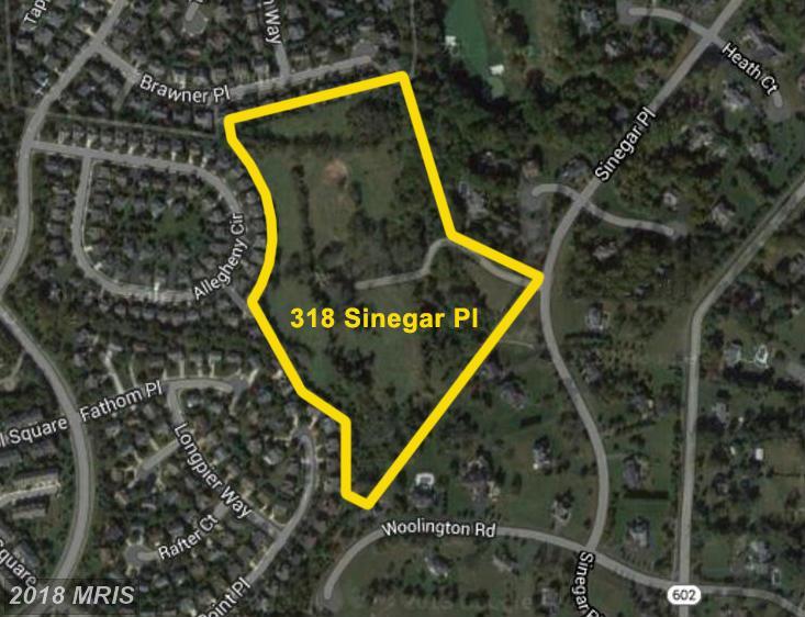 318 Sinegar Place - Photo 1