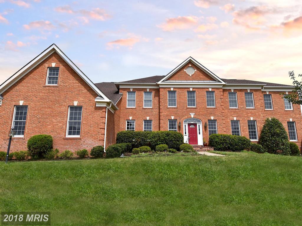 25570 Mimosa Tree Court - Photo 1