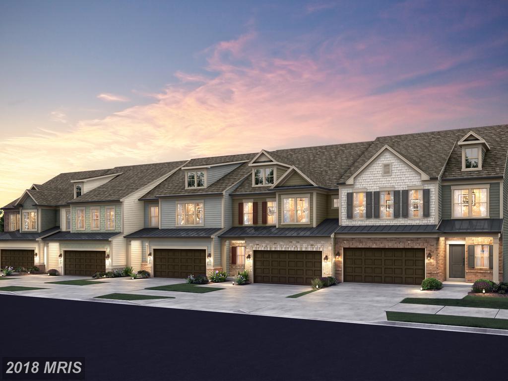 44523 Fiery Skipper Terrace - Photo 1