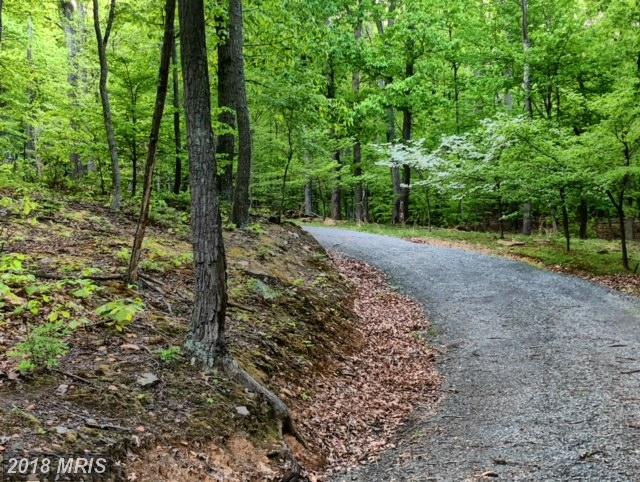 14029 Steed Hill Lane - Photo 1