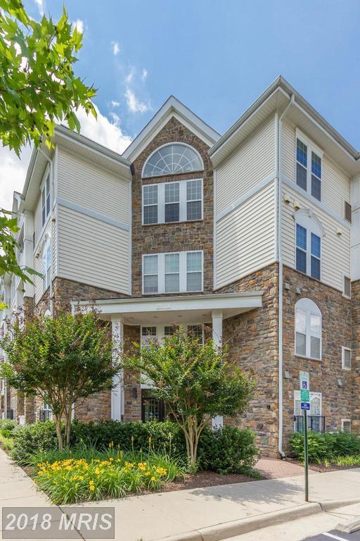 24701 Byrne Meadow Square - Photo 1