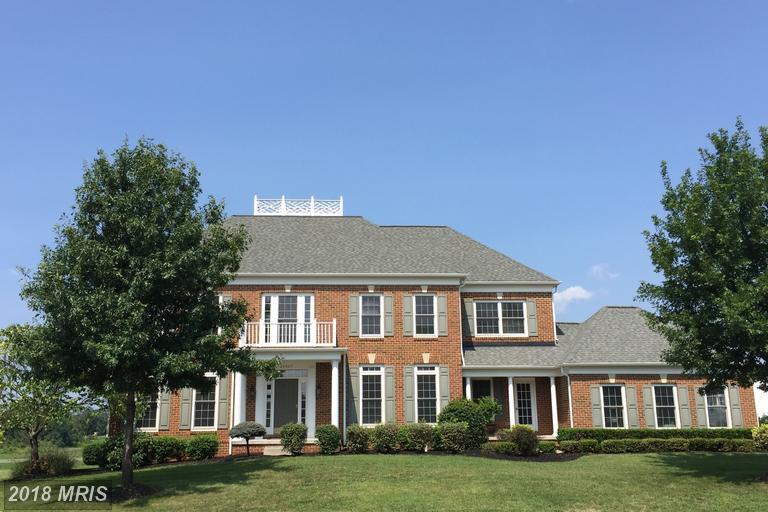 25667 Cabin Point Court - Photo 1