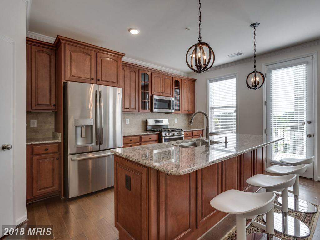 24511 Glenville Grove Terrace - Photo 1