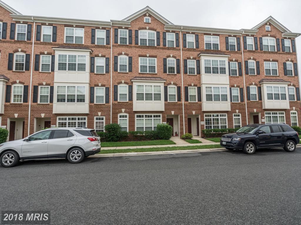 42523 Highgate Terrace - Photo 1