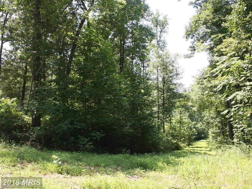Legion Post Lane - Photo 1