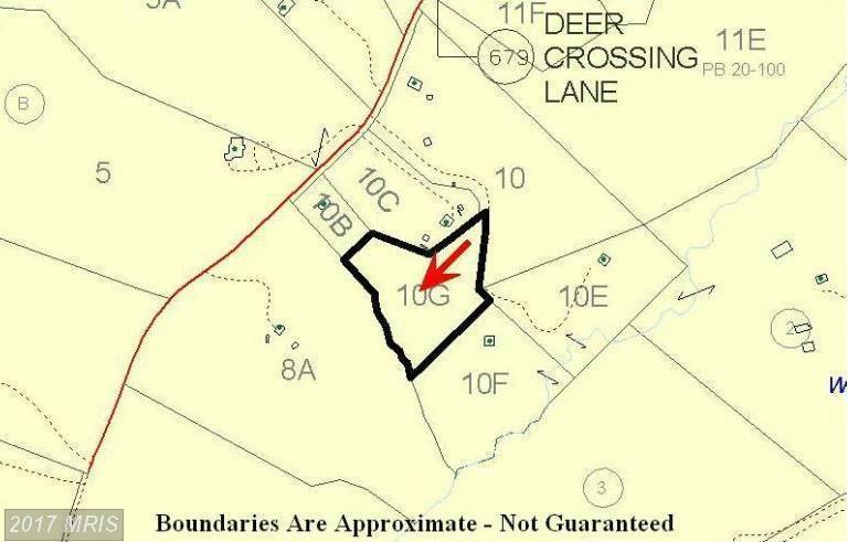 Deer Crossing Lane - Photo 1