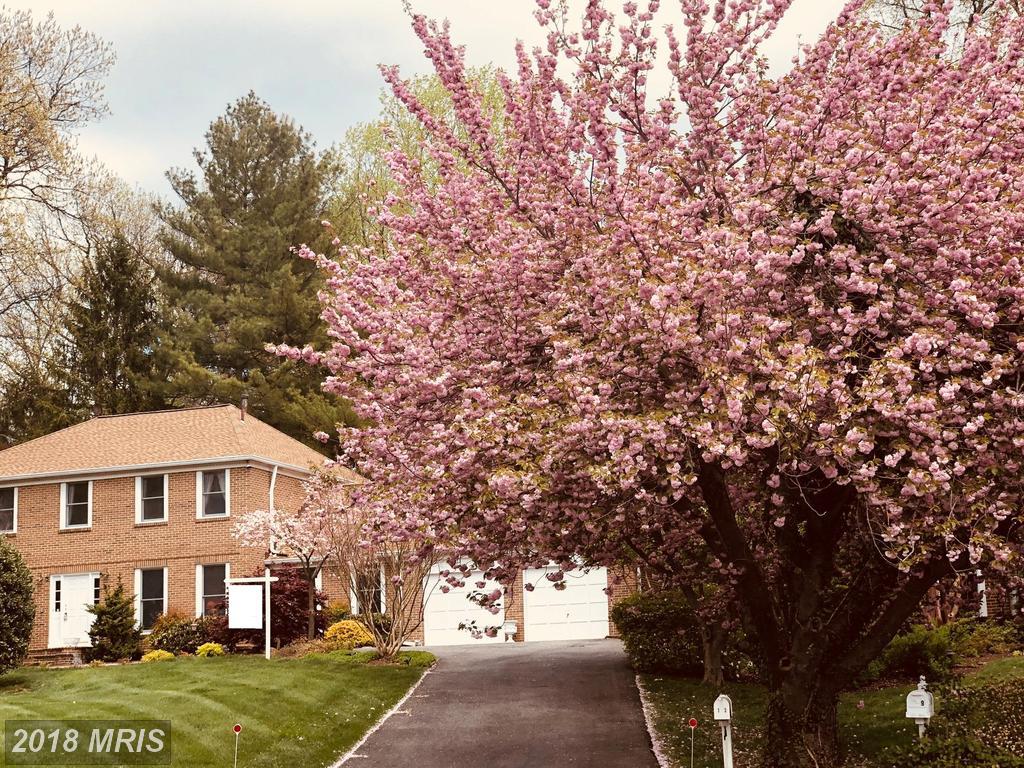 13 Magic Mountain Court - Photo 1