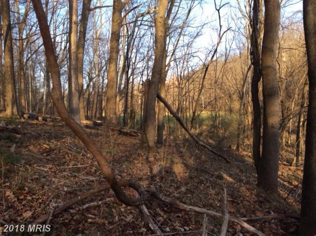 Goshen Court - Photo 1