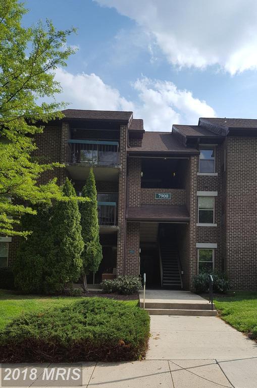 7900 Badenloch Way - Photo 1