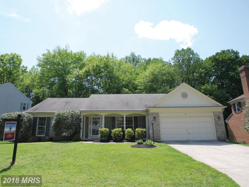 729 Symphony Woods Drive - Photo 1