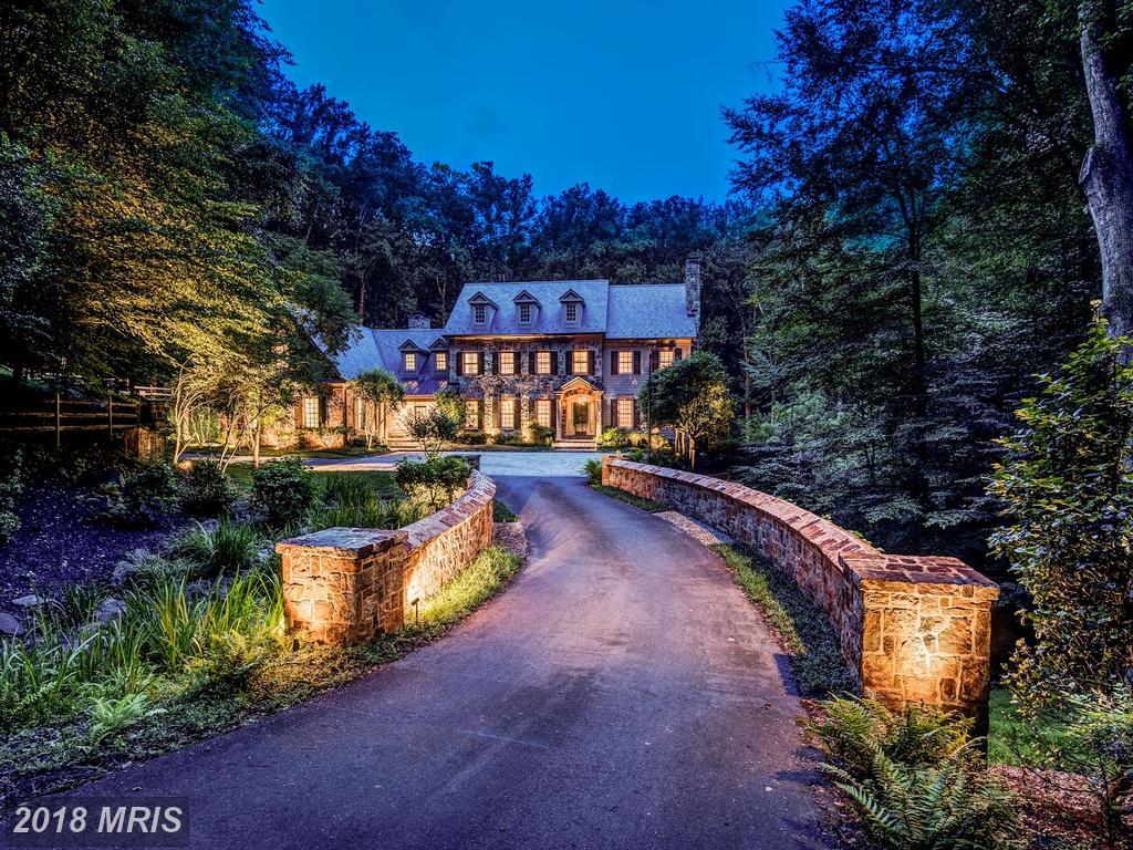 7019 Natelli Woods Lane - Photo 1