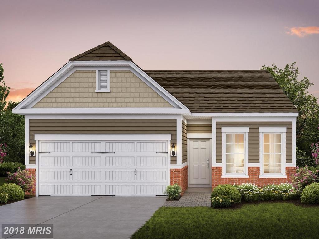21849 Boneset Way - Photo 1