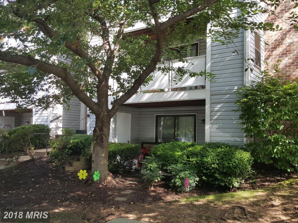 12309 Silvergate Way - Photo 1