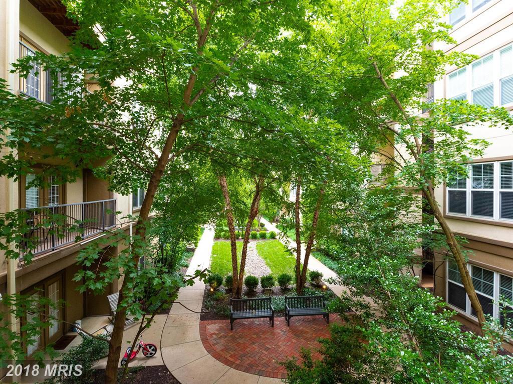 11800 Old Georgetown Road - Photo 1
