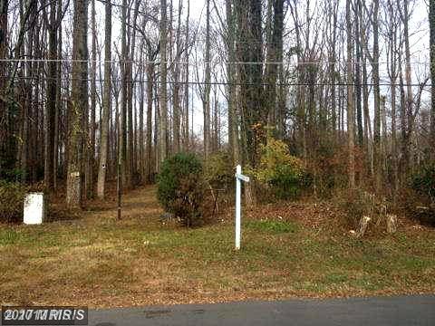 10040 Chapel Road - Photo 1