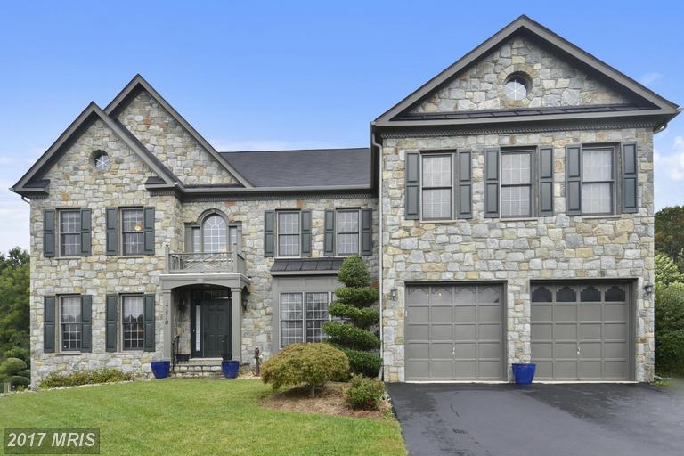 17510 Carlson Farm Court - Photo 1