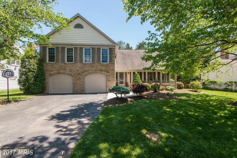 1023 Willowleaf Way - Photo 1