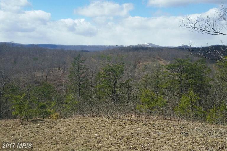 Dogwood Hill Drive - Photo 1