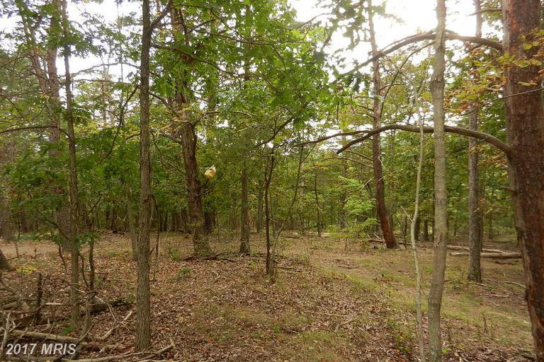 Fountainhead Drive - Photo 1