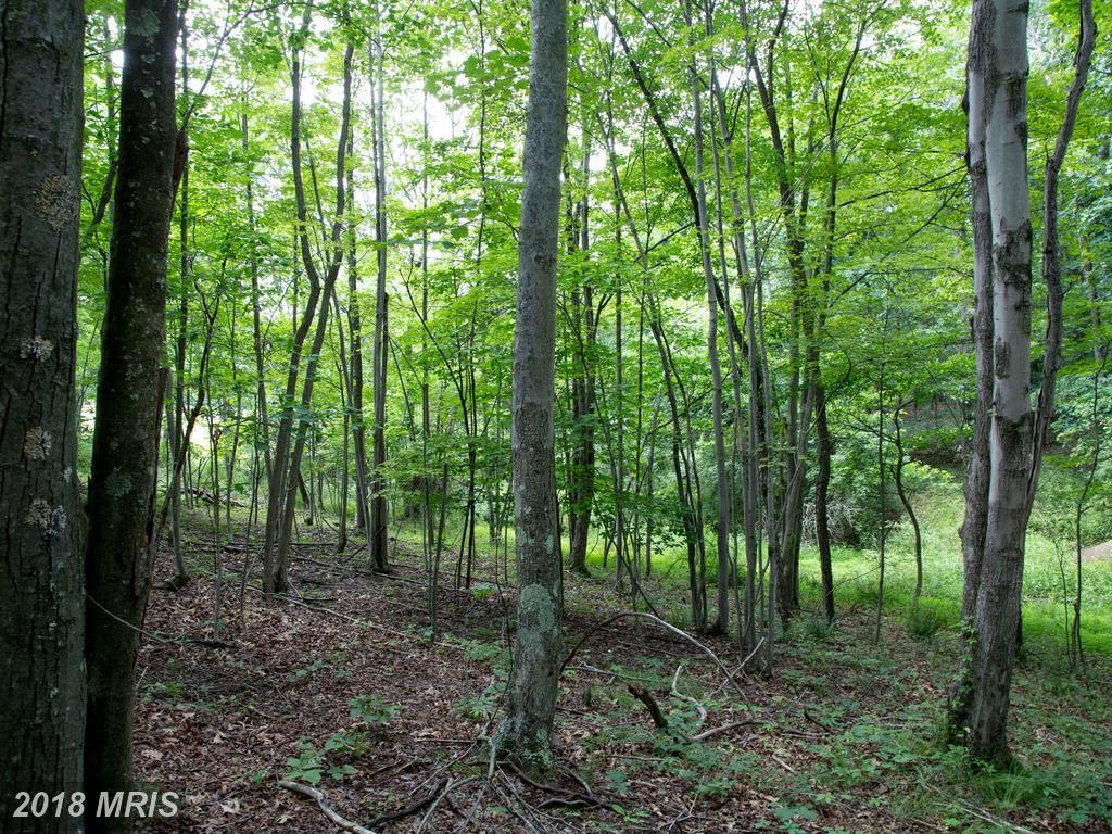 Off Wv Rt 9/29 - Photo 1