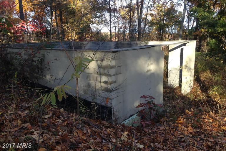 Trappers Ridge Road - Photo 1