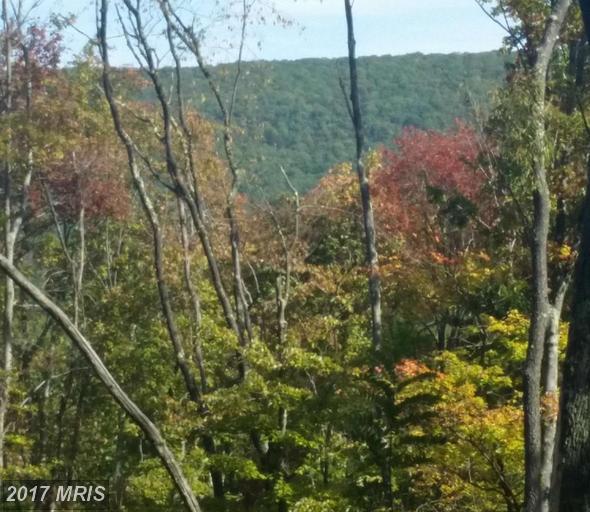 Whistling Winds Trail - Photo 1