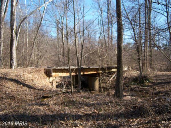 Wv Route 13/6 Blue Brook Road - Photo 1