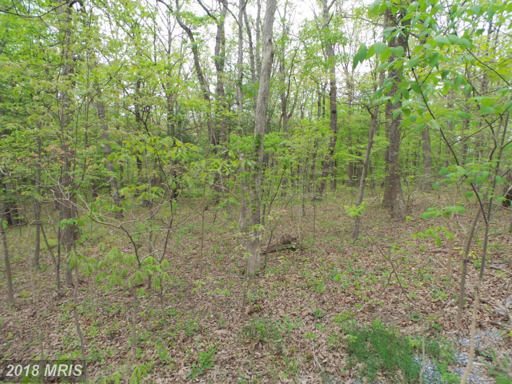 Tri Lake Rd - Photo 1