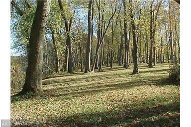 Lot 5 Loudon Lane - Photo 1