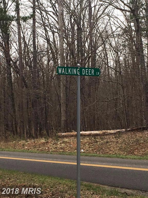 Walking Deer Lane - Photo 1