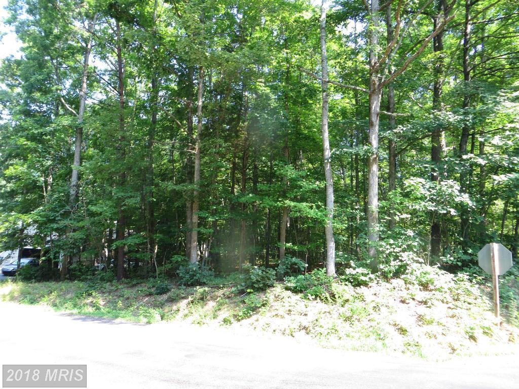 317 Westover Parkway - Photo 1