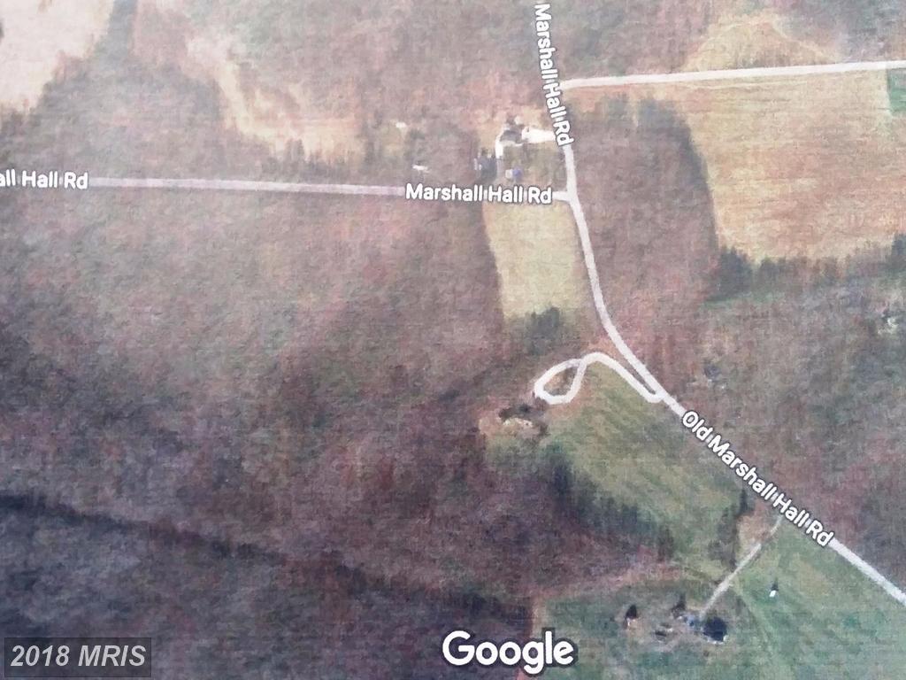 PARCEL #64 Marshall Hall Road - Photo 1