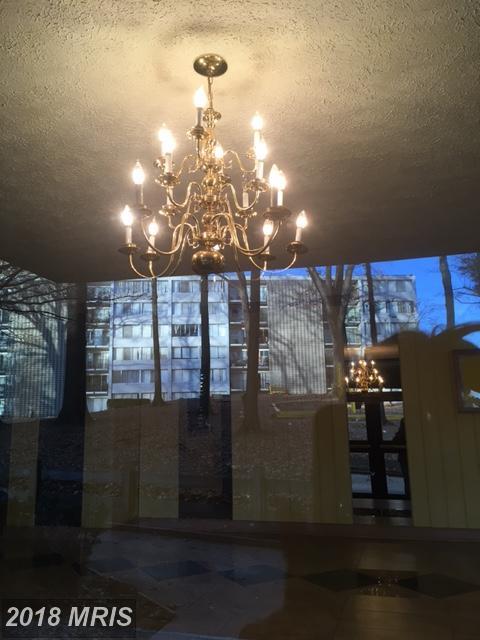 1804 Metzerott Road - Photo 1