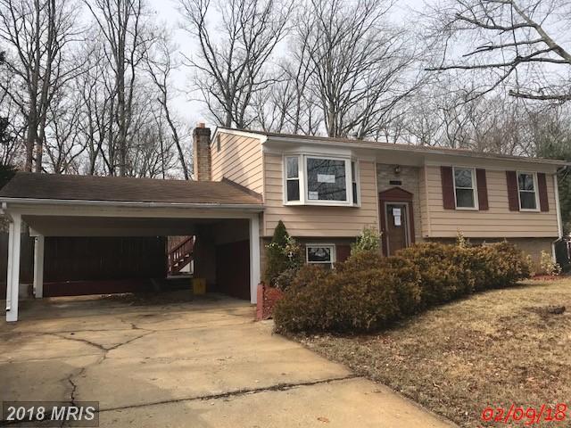 5808 Lundy Drive - Photo 1