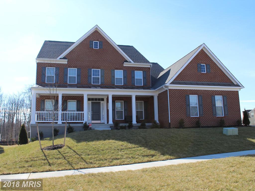 10213 Dressage Drive - Photo 1