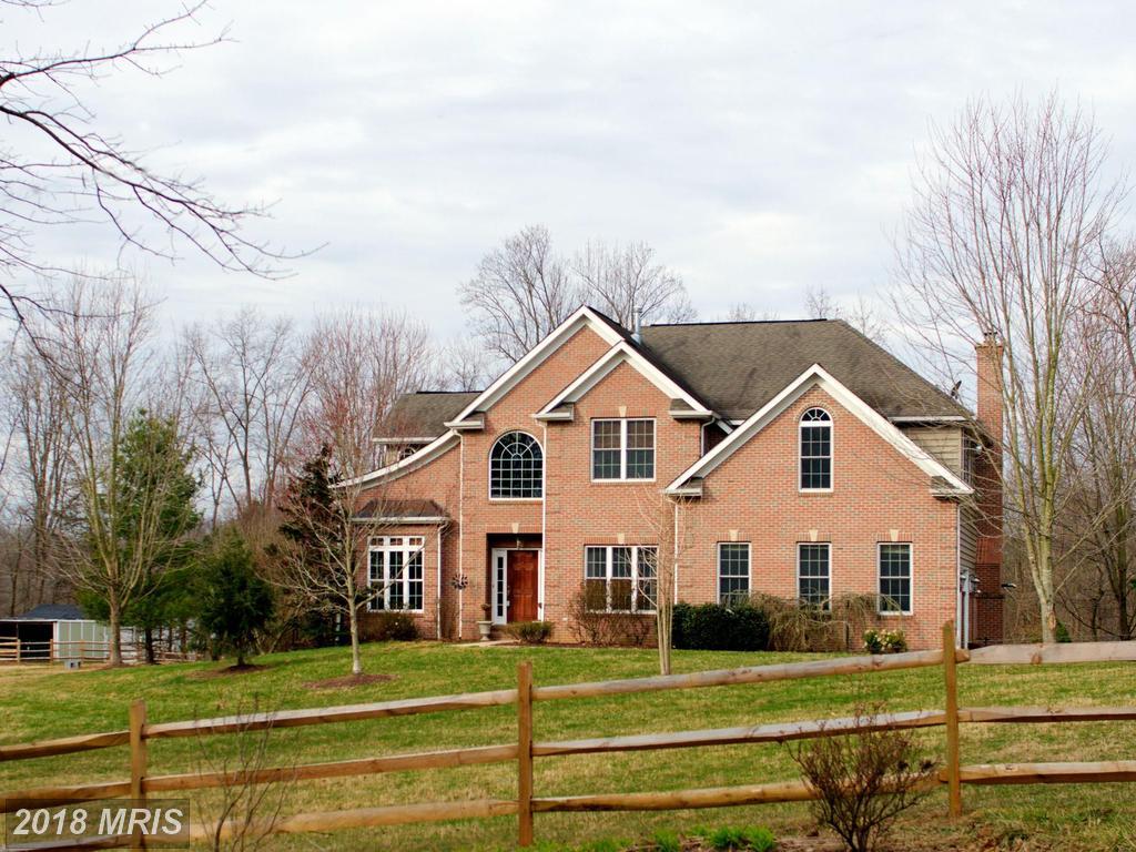 7815 Sasscer Lane - Photo 1